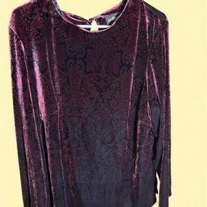 Sag Harbor Burgundy Velvet Blouse